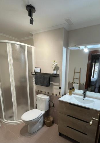 a bathroom with a toilet and a shower and a sink at Pura Vida Apartmento in Ramales de la Victoria