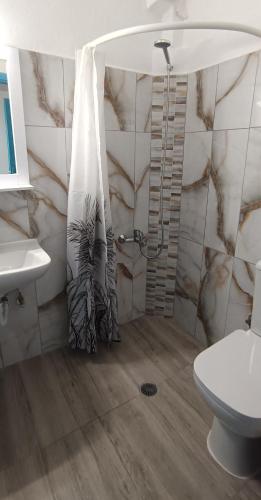a bathroom with a shower and a toilet and a sink at Chrissi Ammos in Perissa