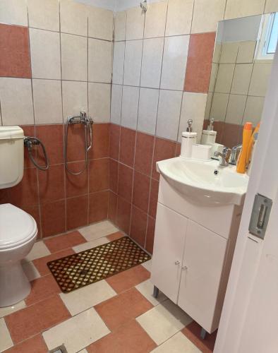 a bathroom with a toilet and a sink and a shower at Cozy Central Home with Balcony in Alexandroupoli