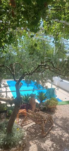 a tree and a chair under a tree near a pool at Villa Ana in Makarska