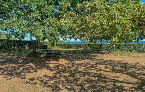 a park with a bench under a tree at Strandhytten in Allinge