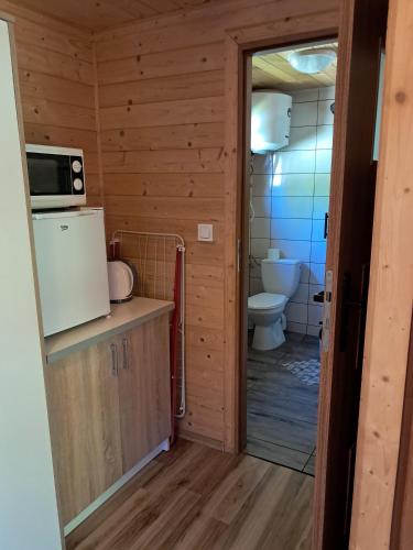 a bathroom with a toilet and a microwave at Domki Mucki in Międzywodzie