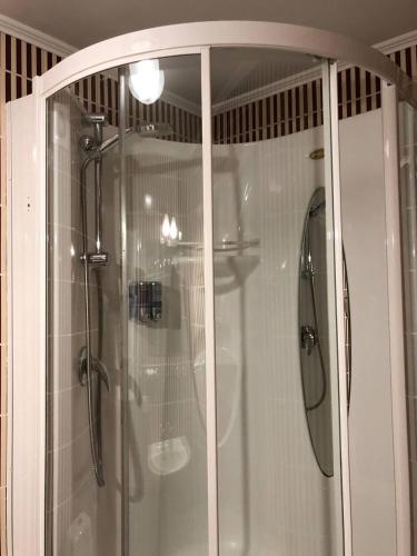a shower in a bathroom with a glass door at Bystrytsya Lux in Ivano-Frankivsk