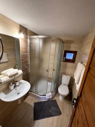 a bathroom with a shower and a toilet and a sink at Privat Beata in Hrabušice