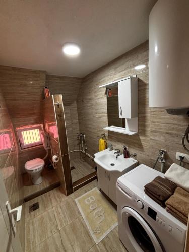 a bathroom with a toilet sink and a washing machine at Apartman JOVANA in Žabljak