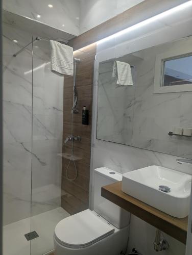 a bathroom with a shower and a toilet and a sink at Hostal La Mexicana in Santander