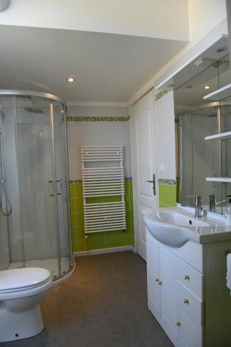 a bathroom with a shower and a toilet and a sink at Domaine familial, Le Parc de Gouts in Aiguillon
