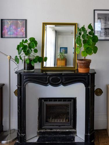 a mirror on top of a fireplace with potted plants at Le Galois - Spacieux appartement en hypercentre de Blois in Blois