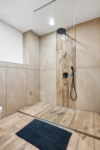 a shower with a glass door in a bathroom at Appartement im Schloßhof in Rechnitz