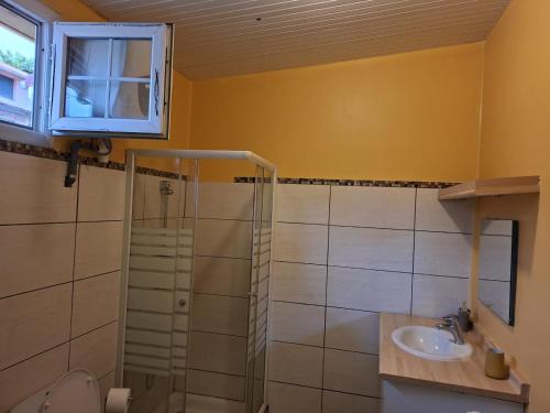 a bathroom with a shower and a sink at Anajodrey in Saint-Joseph