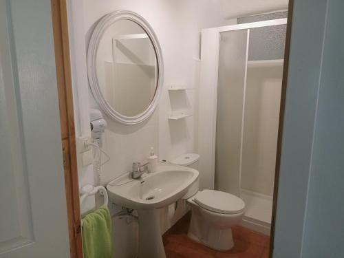 a bathroom with a sink and a toilet and a mirror at Casa Rural San Antón in Quesa