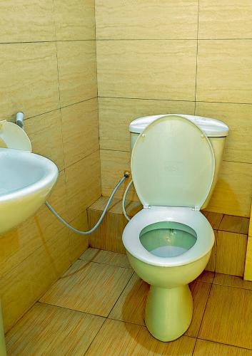 a bathroom with a toilet and a sink at King Solomon Hotel in Nkunjila