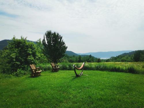 two benches sitting in a field of green grass at Gîte de l'herboriste spa et vue sur la fjord in Sainte-Rose-du-Nord