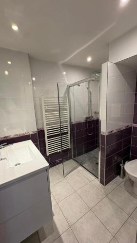 a bathroom with a shower and a sink and a toilet at Le Mas de la Colombe in Grospierres