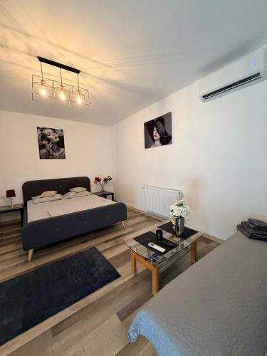 a bedroom with a bed and a living room at Renate House in Băile Herculane
