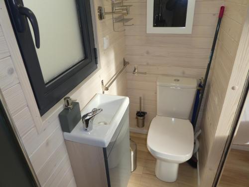 a small bathroom with a toilet and a sink at Tiny House Climatisée Bernières in Bernières