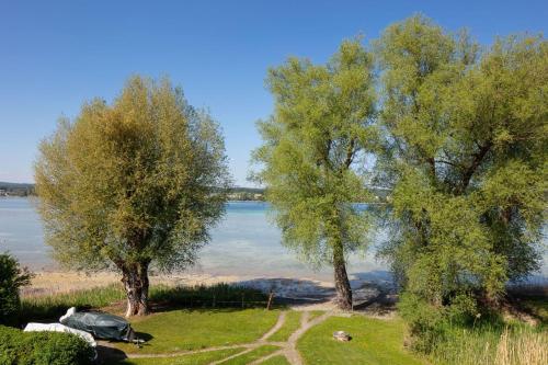 two trees in a field next to a body of water at Ferienwohnung Blaupause Reichenau mit Seezugang und Wiese zum Entspannen in Reichenau