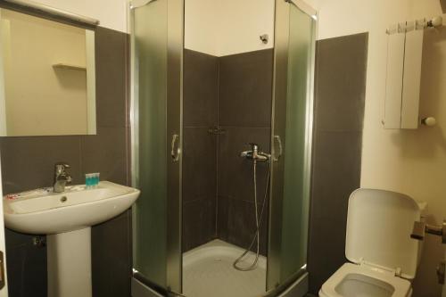 a bathroom with a shower and a sink and a toilet at Hotel PM Palace in Nizhnyaya Alekseyevka