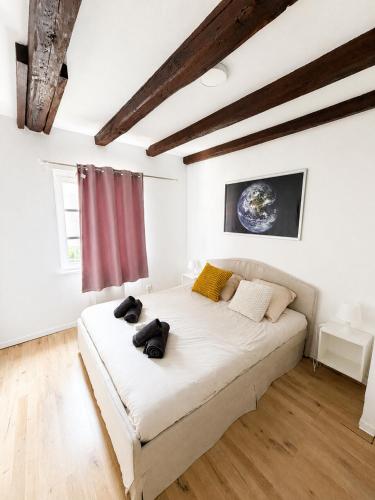 Appart cosy - Centre - Charme alsacien - Strasbnb