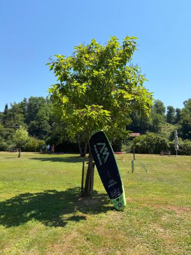 a skateboard leaning against a tree in a field at Green River - robinzonski kamp in Duga Resa