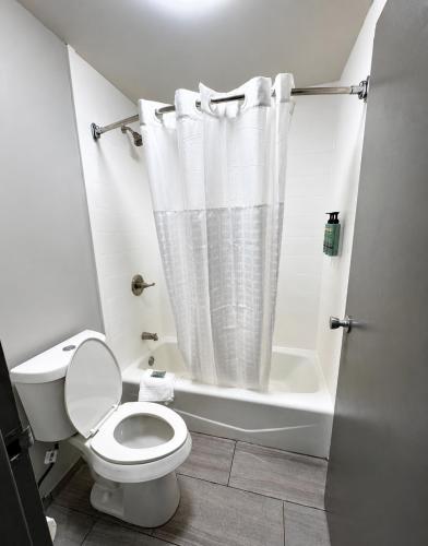 a bathroom with a toilet and a shower curtain at Clarion Inn in Greenville