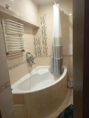 a white bath tub in a bathroom with a shower at Comfort place in Ternopil