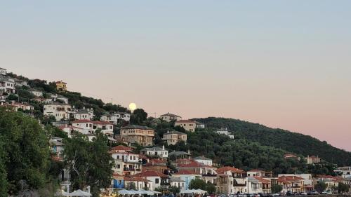 a bunch of houses on top of a hill at Iris Sea View Villa in Afissos