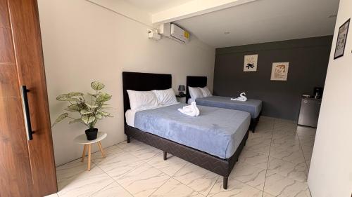 a bedroom with two beds and a potted plant at MarDani Guesthouse & Car Rental - FREE SJO Airport Shuttle in Alajuela