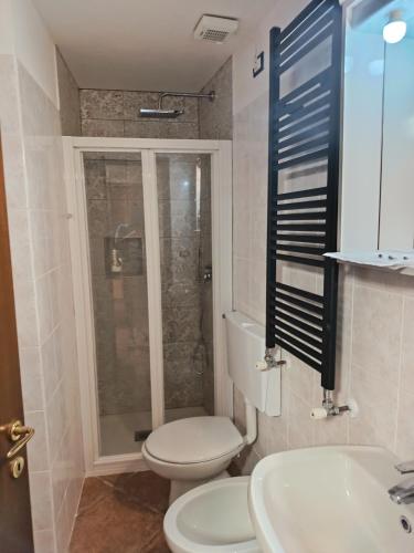 a bathroom with a toilet and a shower and a sink at Il Ciliegio di Lurisia in Lurisia
