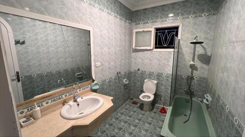 a bathroom with a sink and a shower and a toilet at luxor nile palace in Luxor