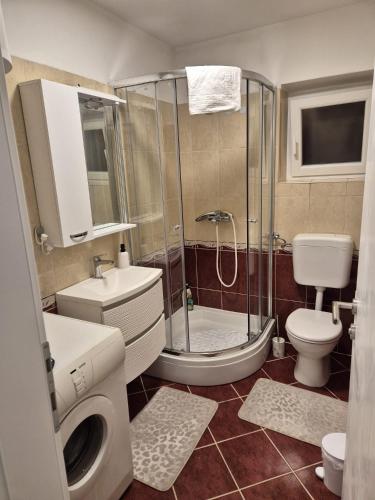 a bathroom with a shower and a toilet and a sink at Apartman Sanja in Ploče