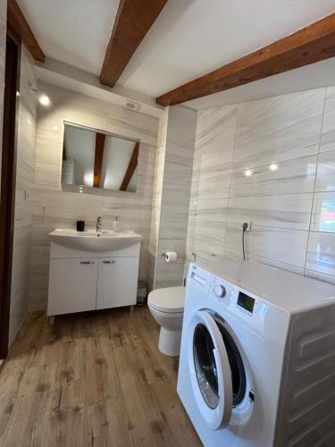 a bathroom with a washing machine and a toilet at Blue Wave Apartments - Adriatic in Slano