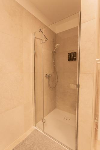 una ducha con puerta de cristal en un baño en Genuss Apartment Basic, en Purbach am Neusiedlersee