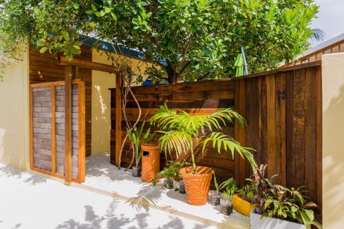 a fence with potted plants in front of a house at Holiday Garden Rasdhoo in Rasdu