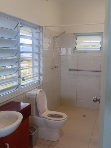 ein Badezimmer mit Toilette, Dusche und Waschbecken in der Unterkunft Sky view in Savusavu