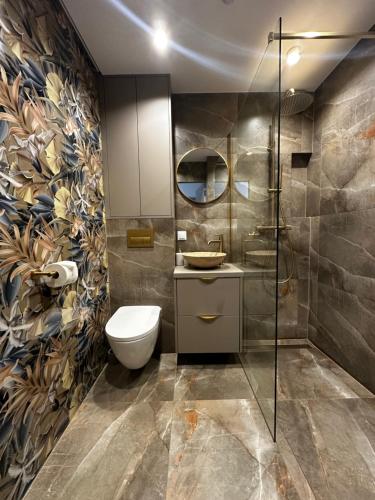 a bathroom with a toilet and a shower at Apartament KAJA in Malbork