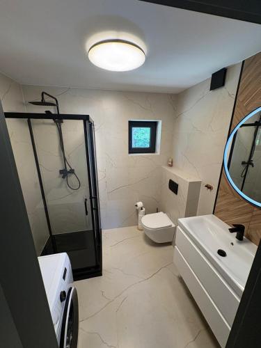 a bathroom with a shower and a toilet and a sink at Lasóweczka in Lasowka