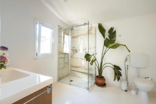 a bathroom with a shower and a toilet and a plant at Ethos Guest House in Quarto dʼAltino