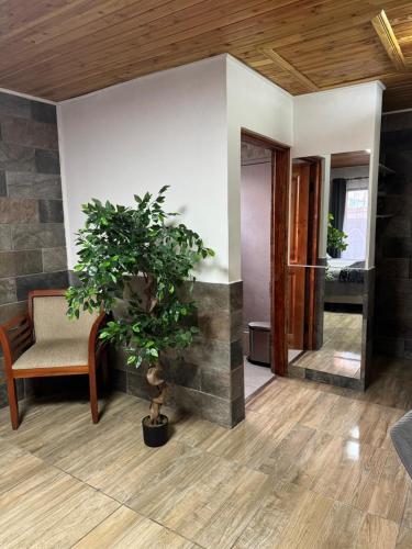 a living room with a couch and a potted plant at Hospedaje Shuyen in Victoria