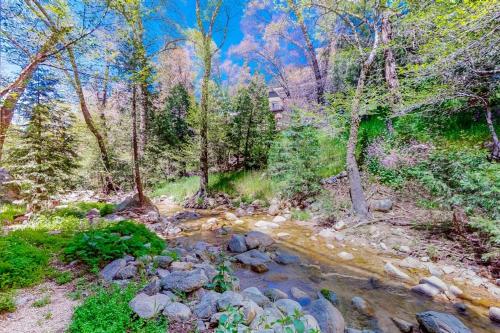 a stream in the middle of a forest with trees at Creekside Cabin in Crestline