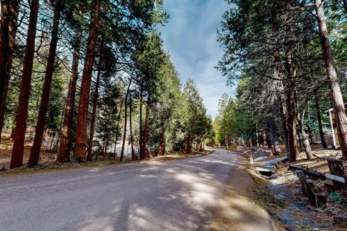 a road in a forest with a bench and trees at Fernrock Cabin in Twin Peaks