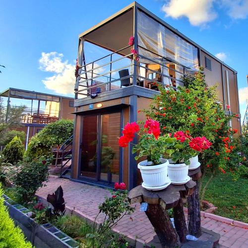 a house with red flowers in white pots at къщички Поляните in Sinemorets