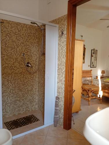 a bathroom with a shower and a sink at B&B Zia Delia in Villaperuccio