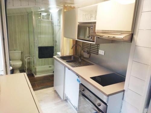 a small kitchen with a sink and a toilet at La Biro in Pornic