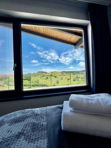 a bedroom with a large window with a view at Cindrel Chalet Jina in Jina