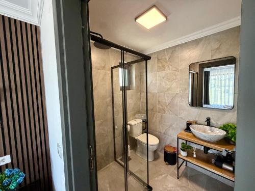 a bathroom with a shower and a toilet and a sink at Cindrel Chalet Jina in Jina