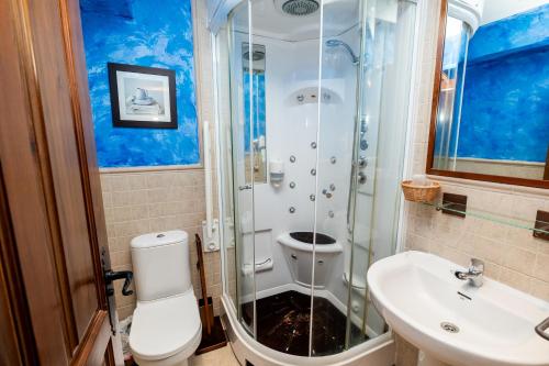 a bathroom with a shower and a toilet and a sink at posada trastamara in Piedralaves