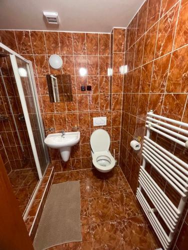 a bathroom with a toilet and a sink at Hotel u Freuda Příbor in Nový Jičín