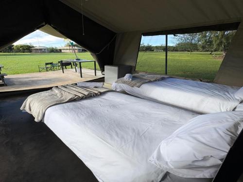 two large white beds in a tent with a picnic table at Kameeldoring Camping & Tented Chalets in Kakamas