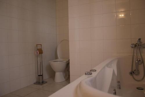 a bathroom with a bath tub and a toilet at Les frênes in Cussac
